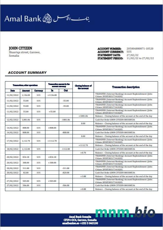 Somali Salaam Somali wyciąg bankowy słowo i szablon PDF w